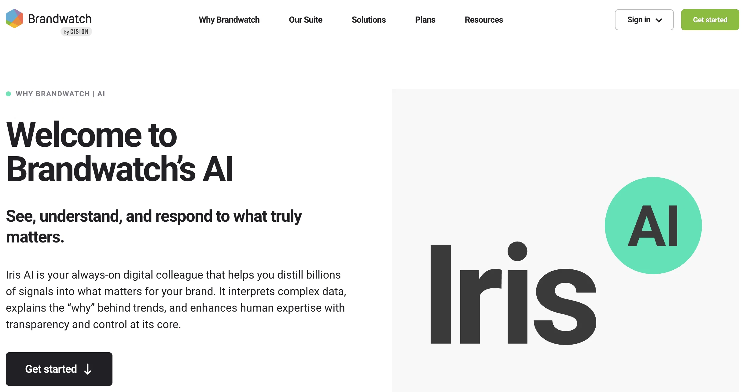 Brandwatch Iris AI website