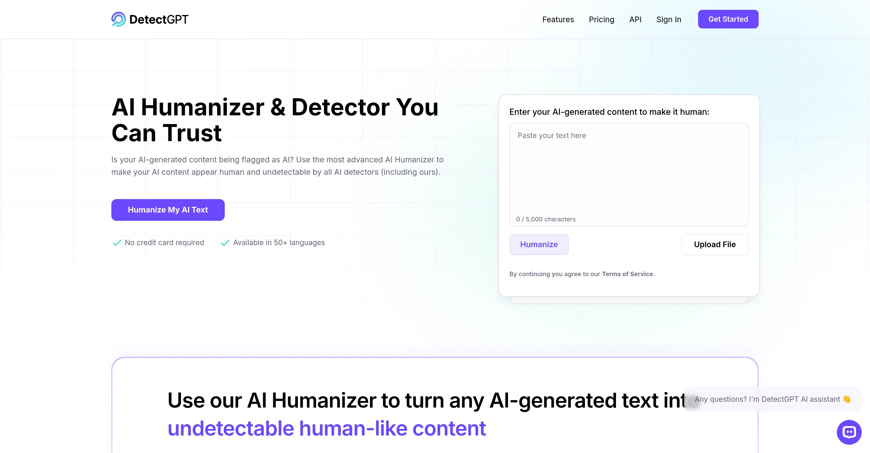 DetectGPT - AI Humanizer website