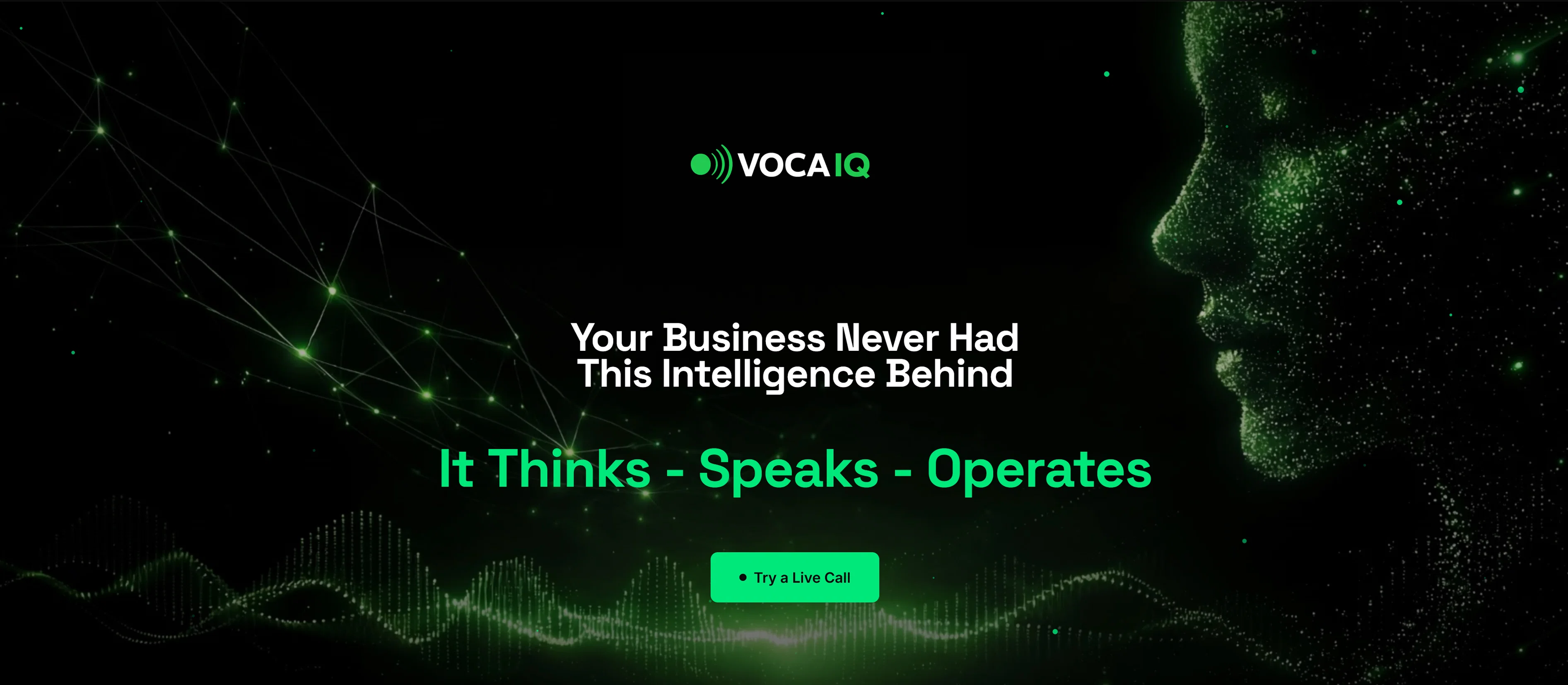 VocaIQ website