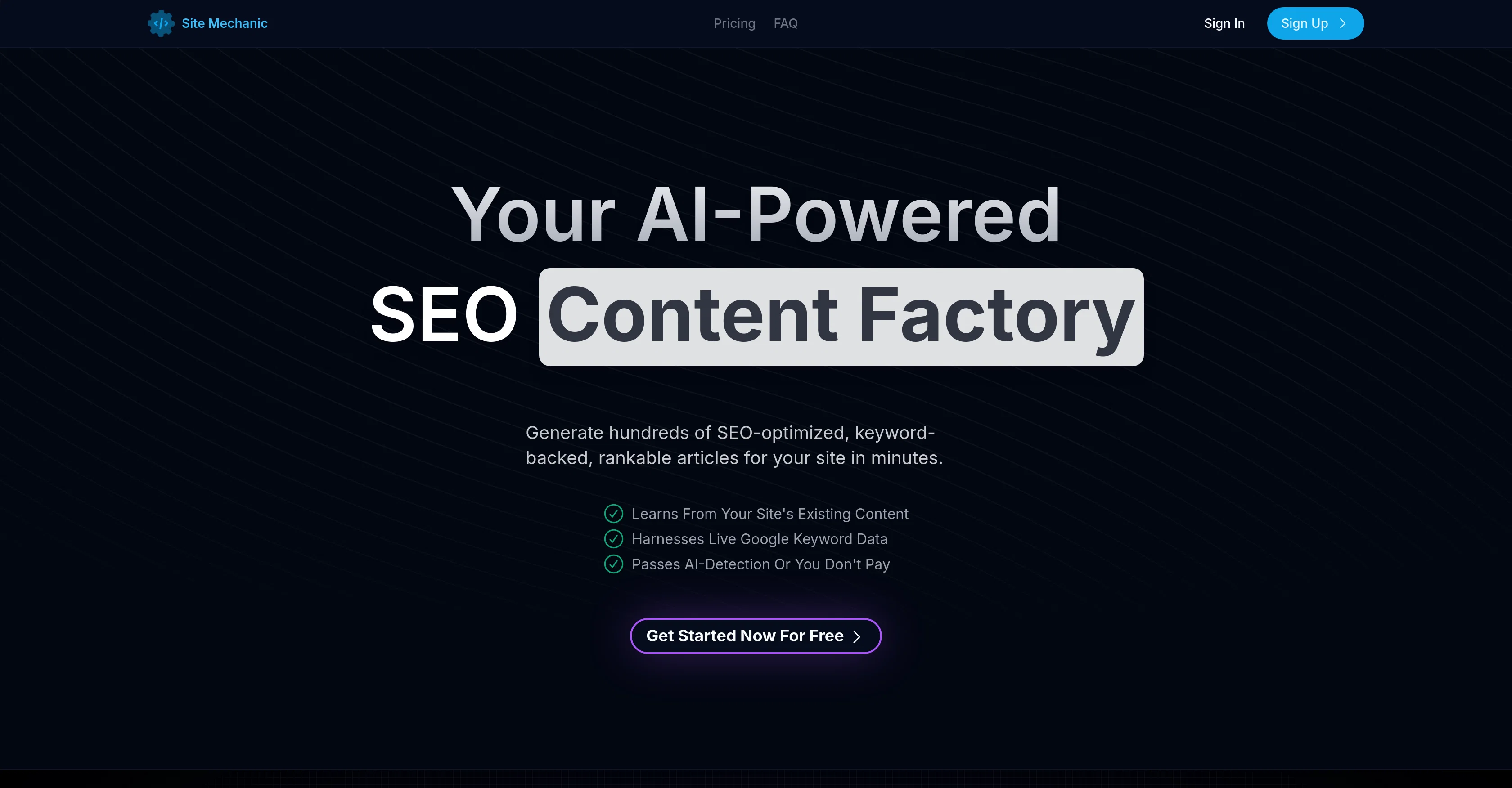 Site Mechanic website