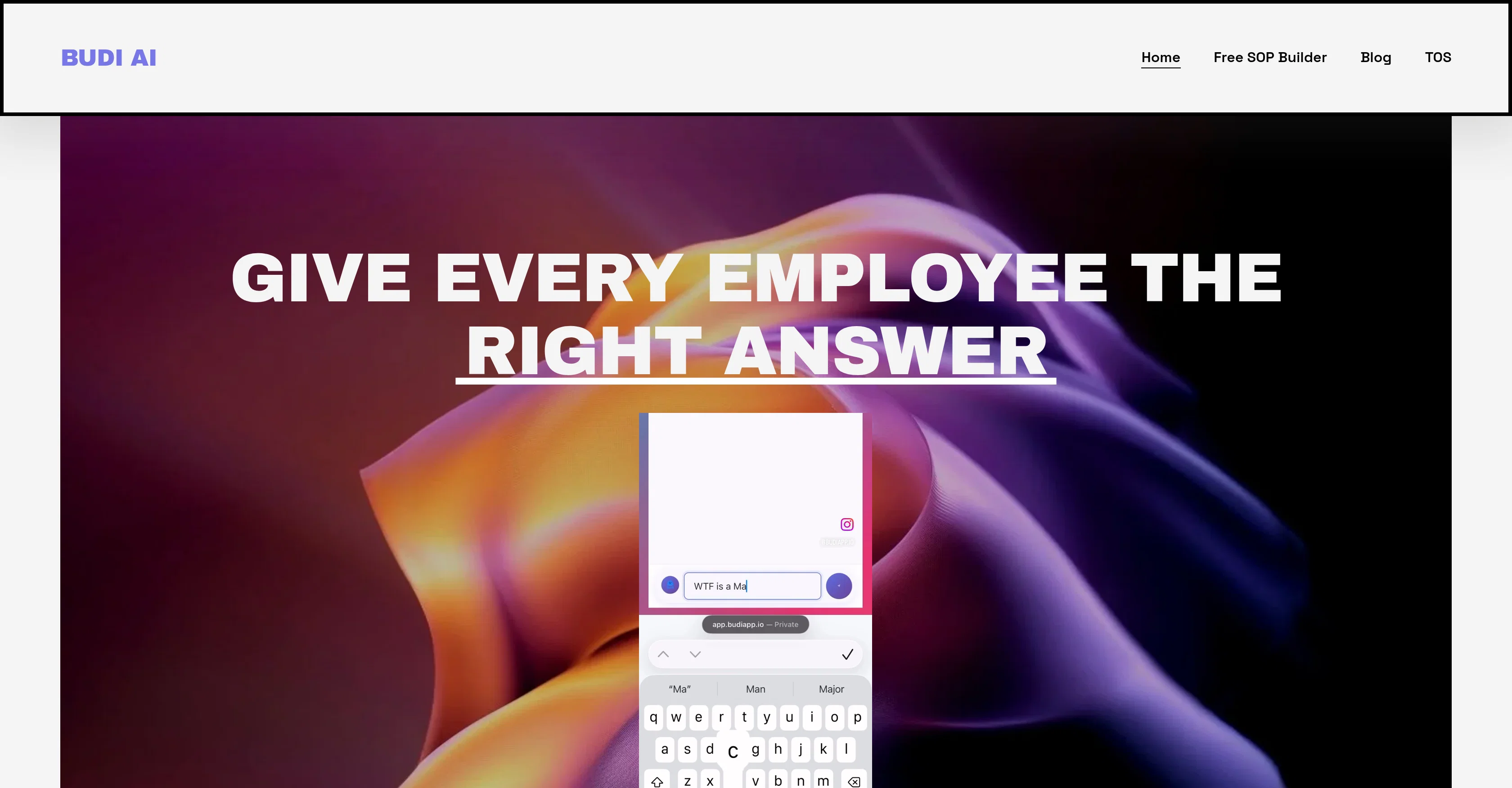 Budi AI website
