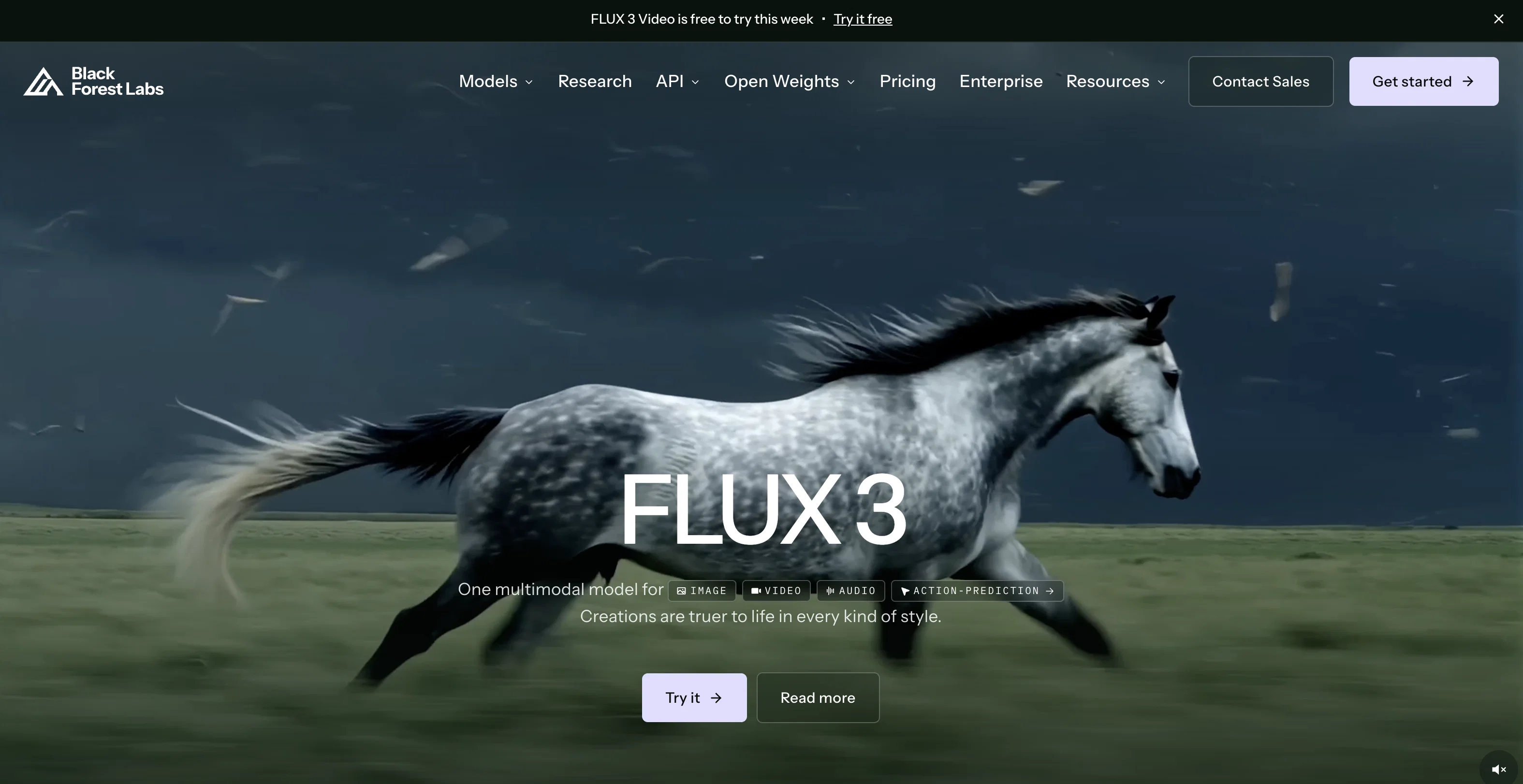 FLUX website