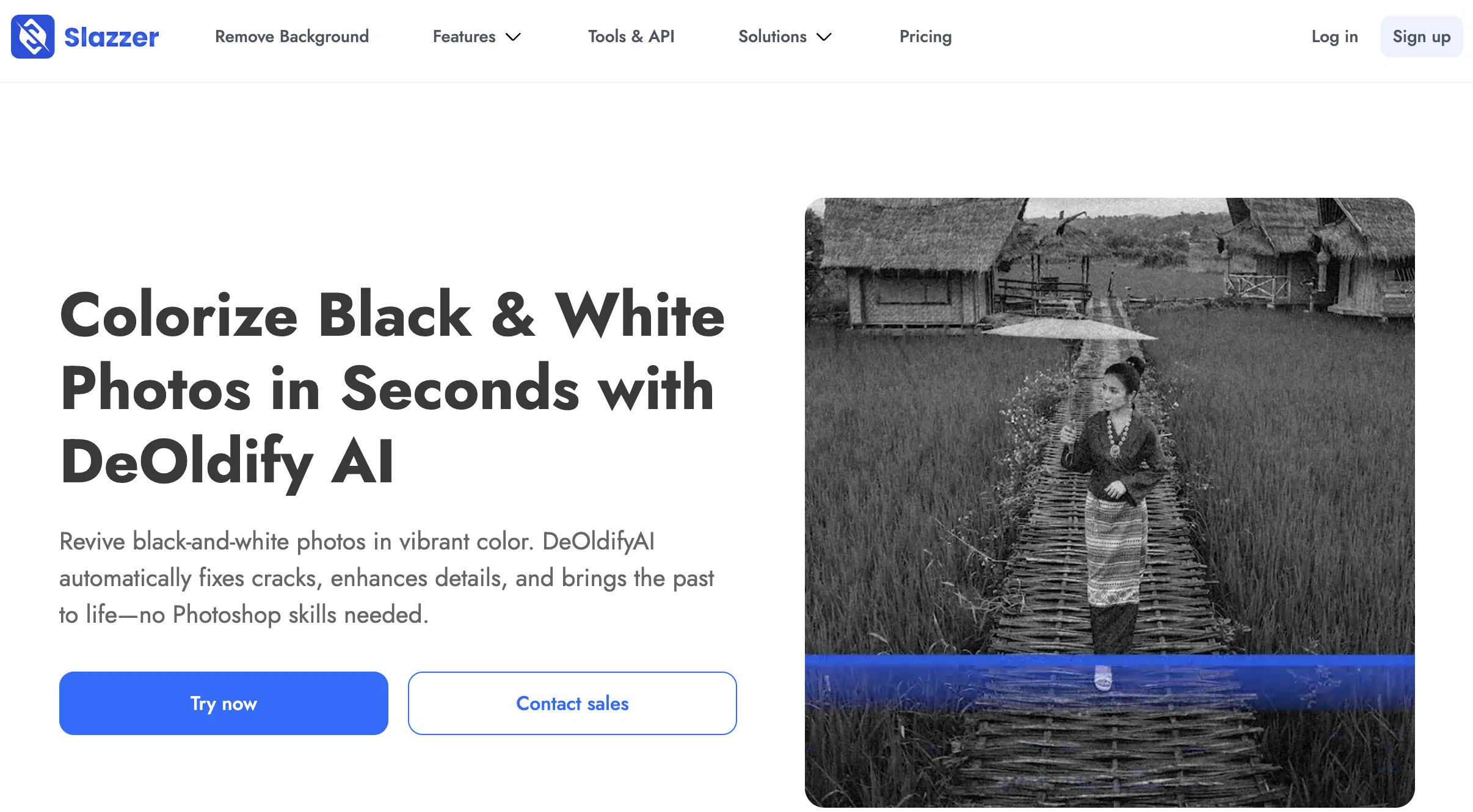 Slazzer DeOldify AI website