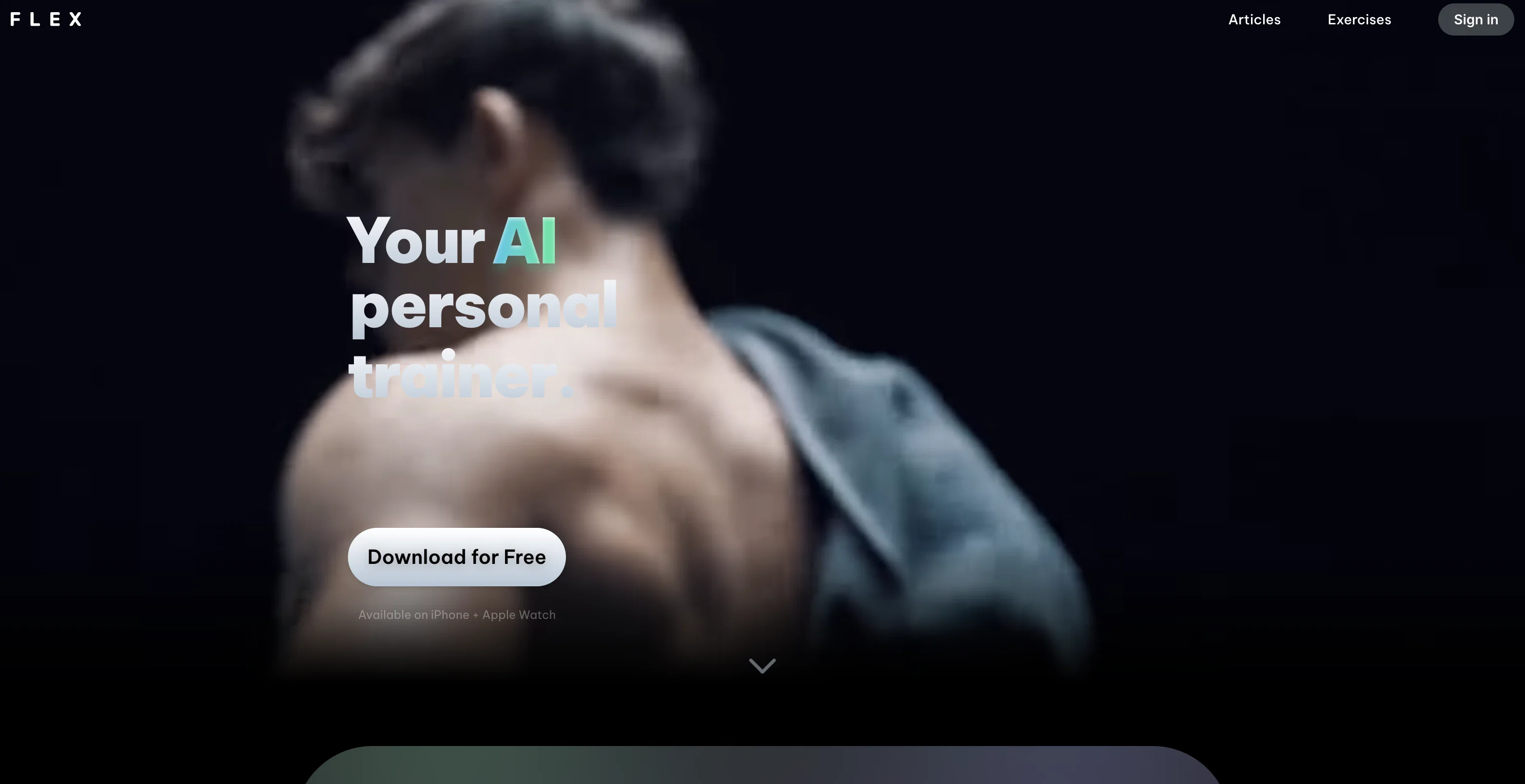 Flex AI website