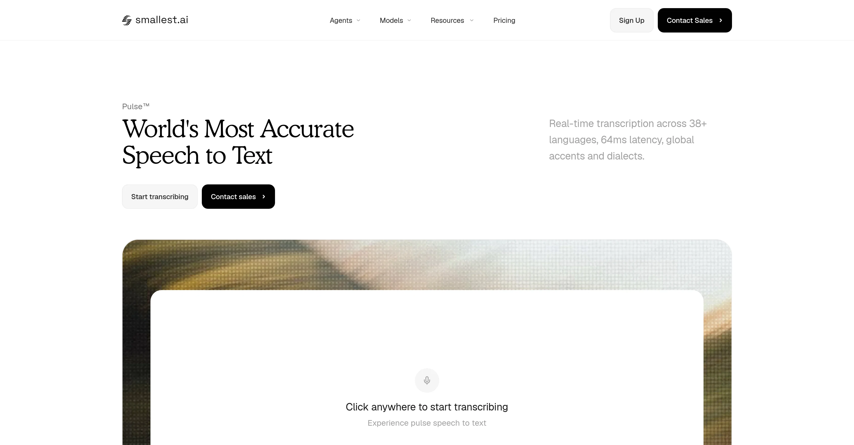 Pulse by smallest.ai website