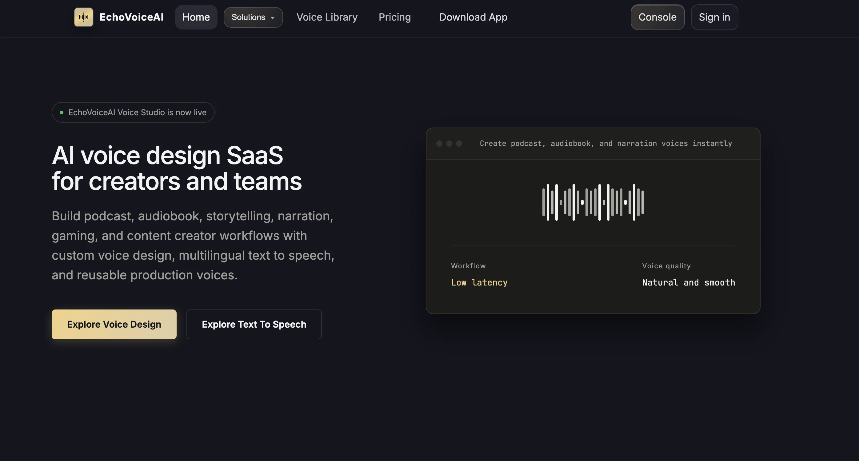 Echo Voice AI website