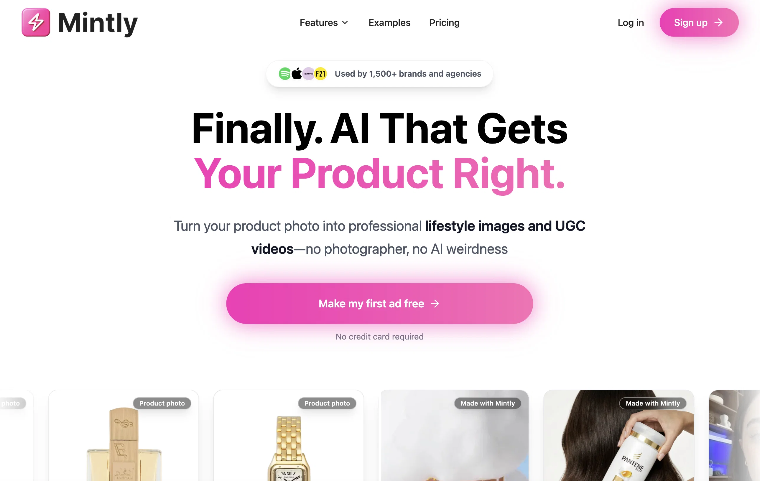 Mintly 2.0 website