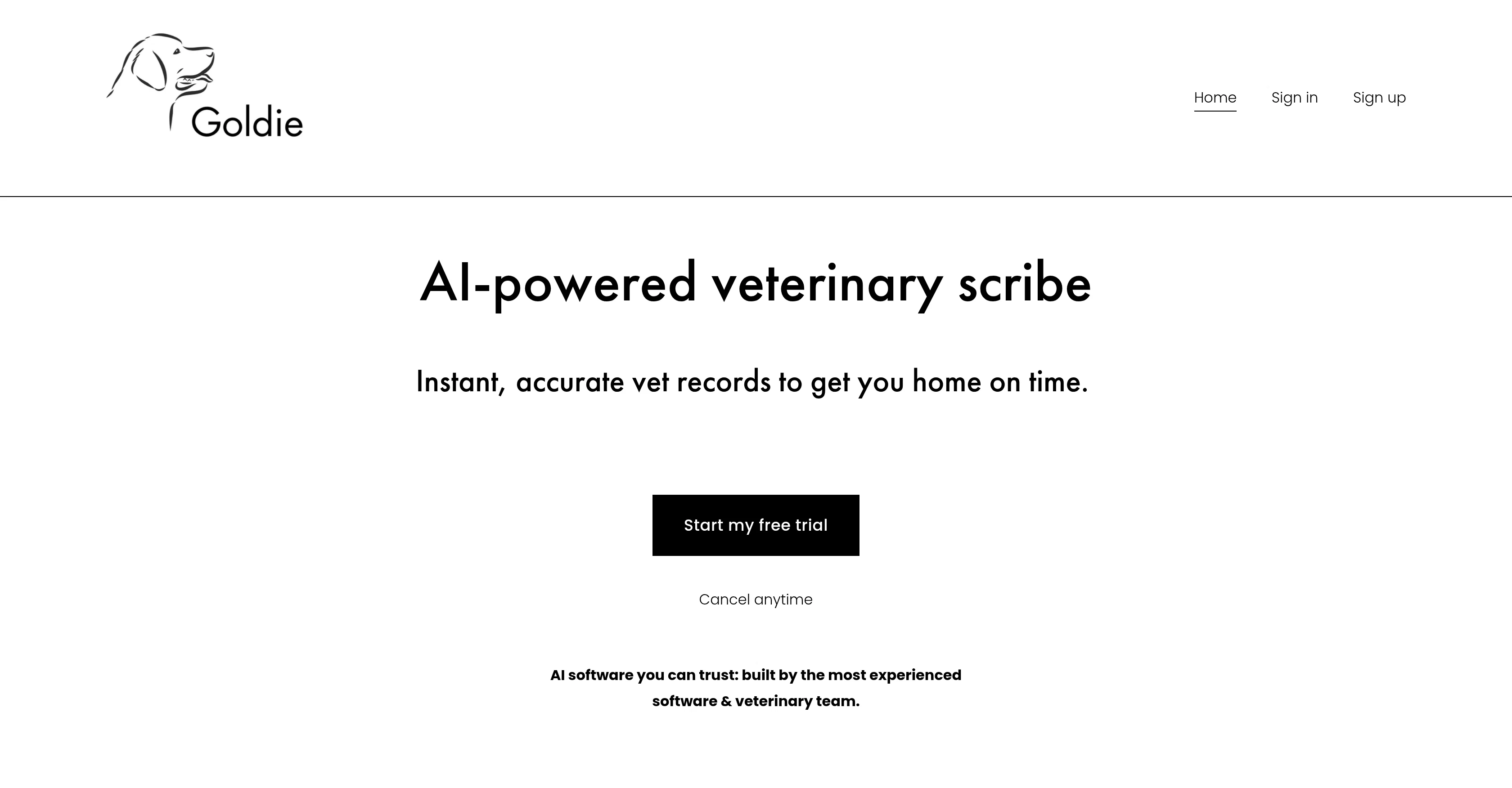 Goldie Vet website