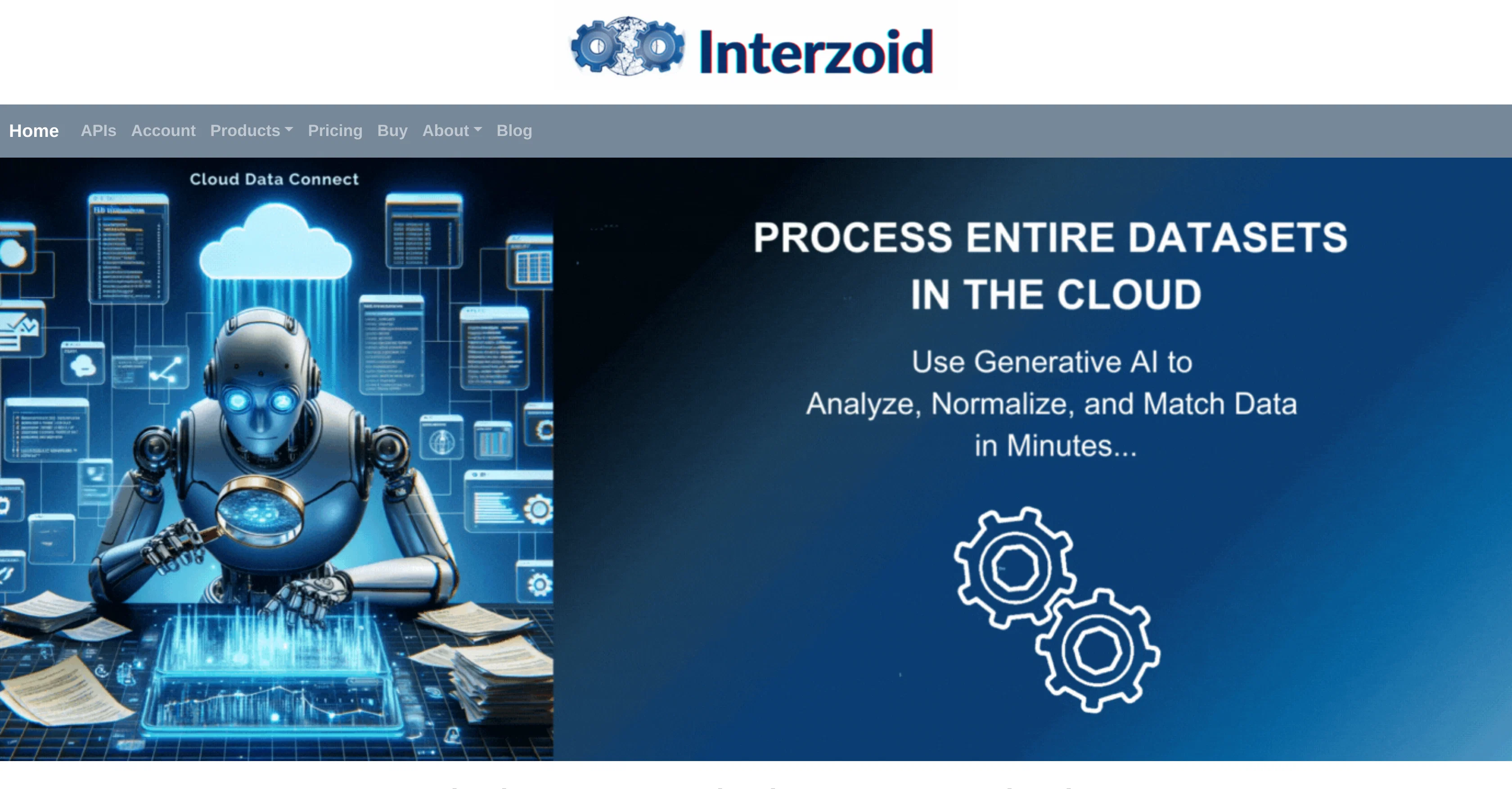 Interzoid website