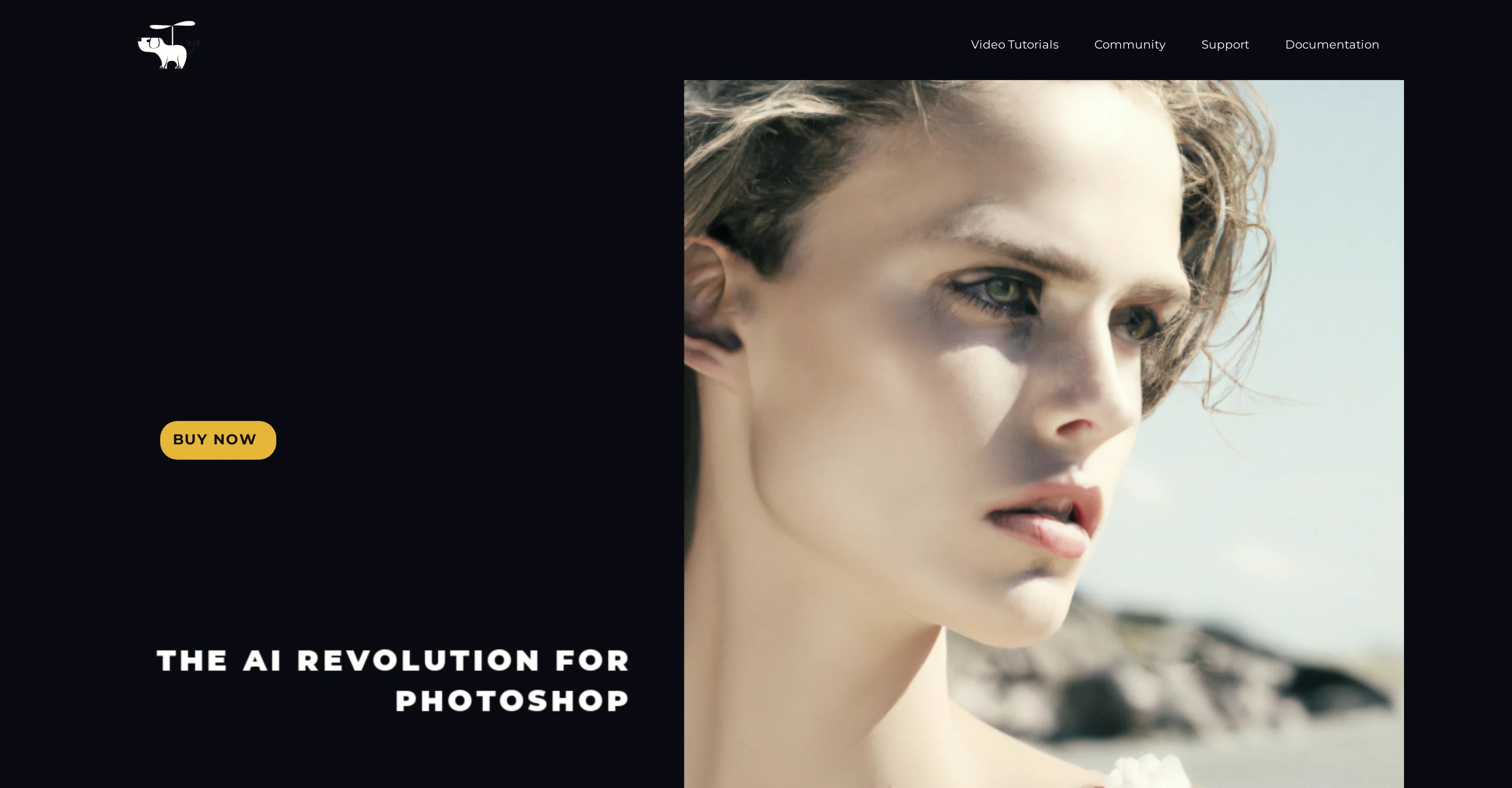 AI for Photoshop - DALL-E 2 and Stable Diffusion (fly... website
