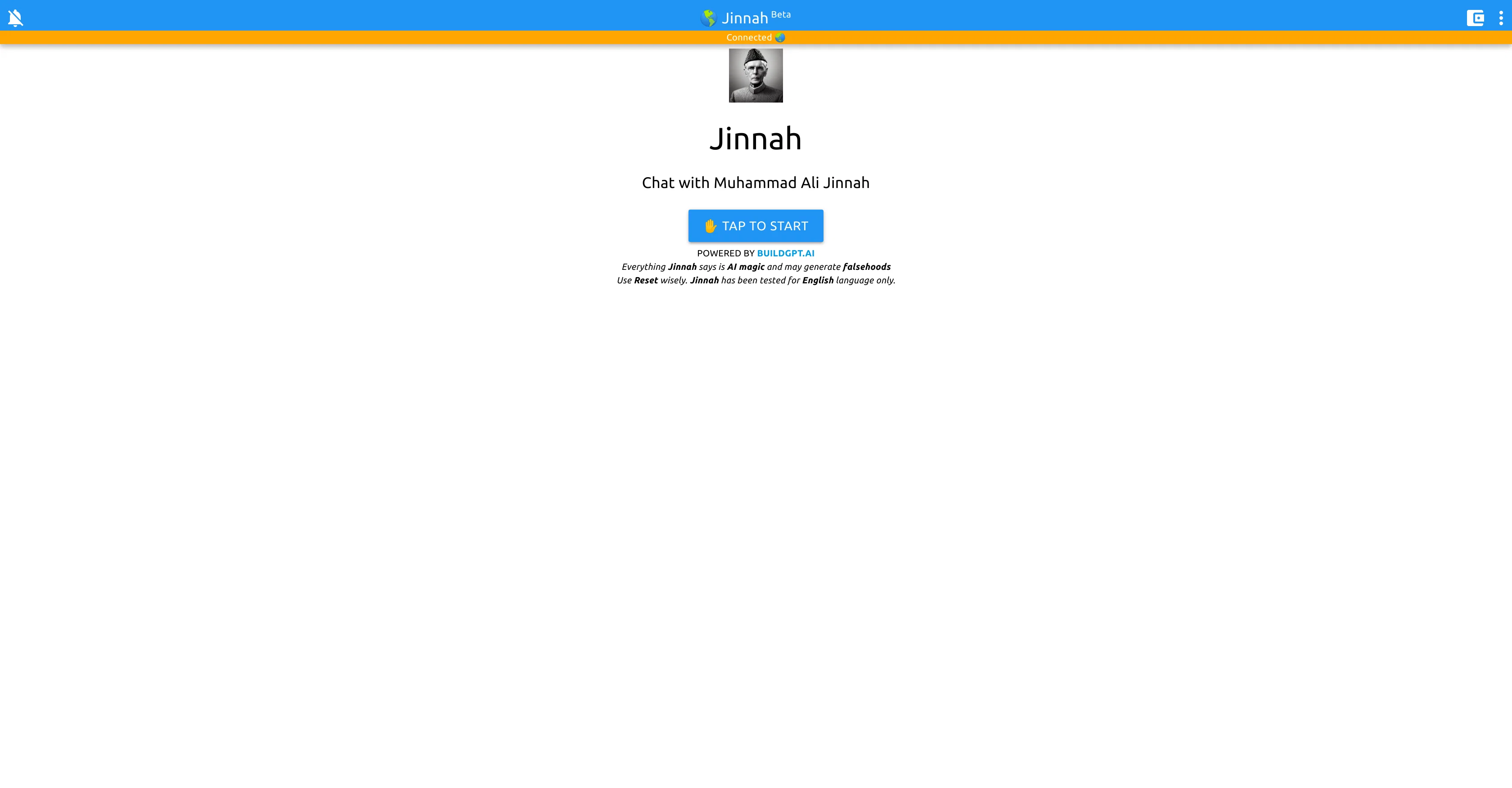 Chat with Jinnah website
