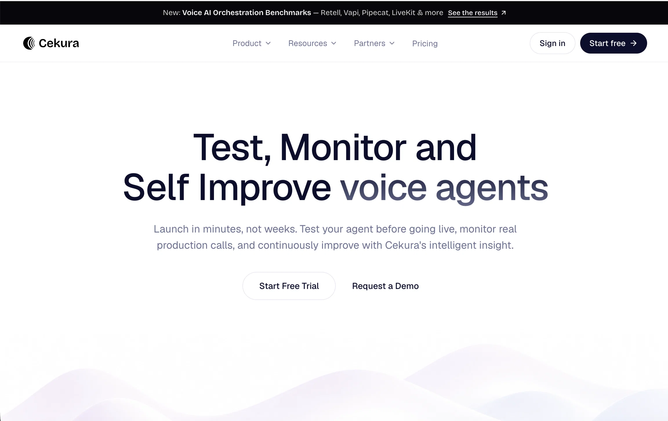 Cekura website