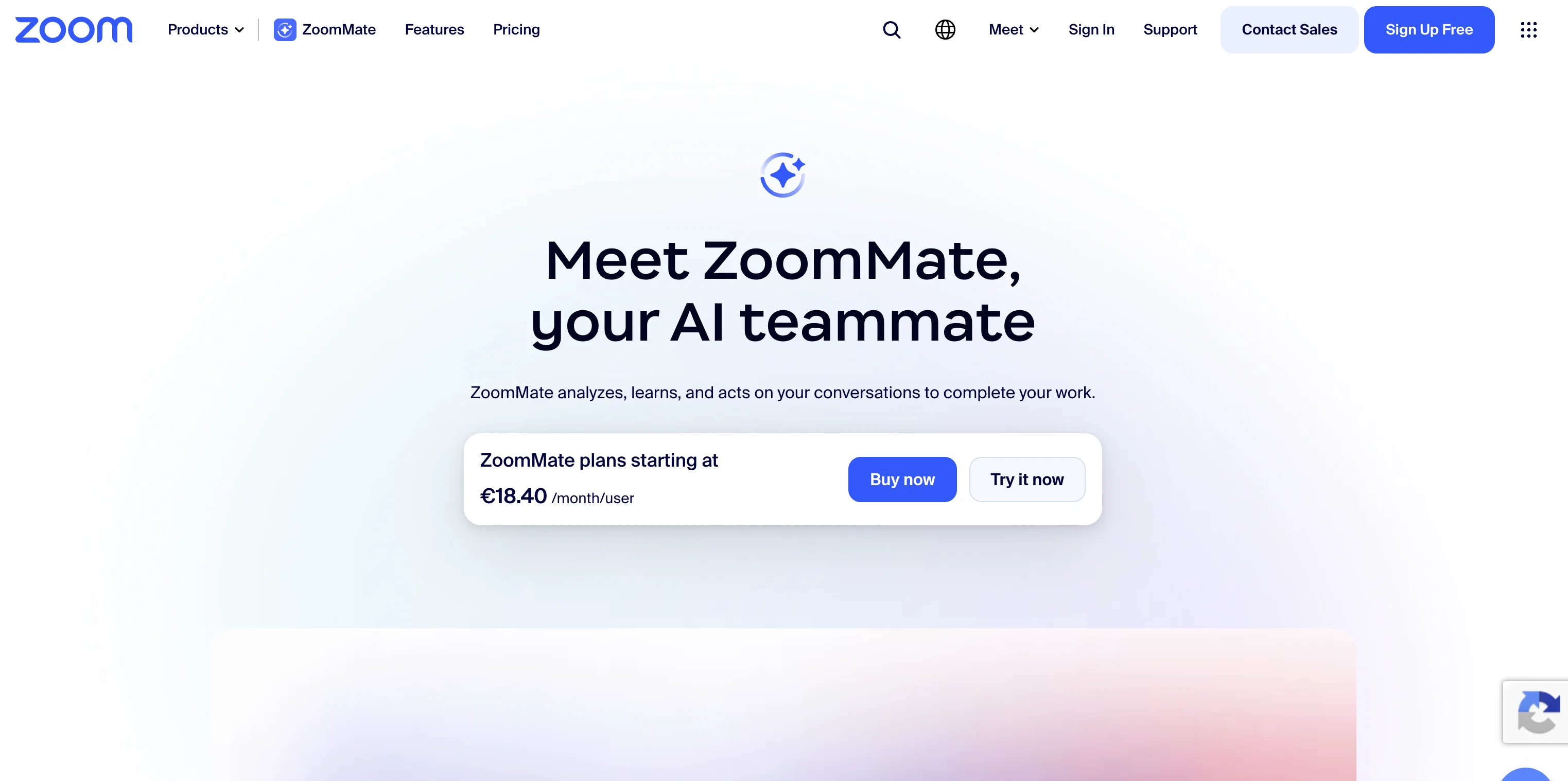 Zoom AI Companion website