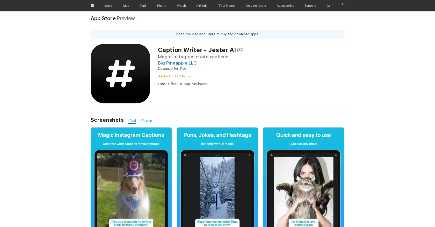 Jester AI - Caption Writer website