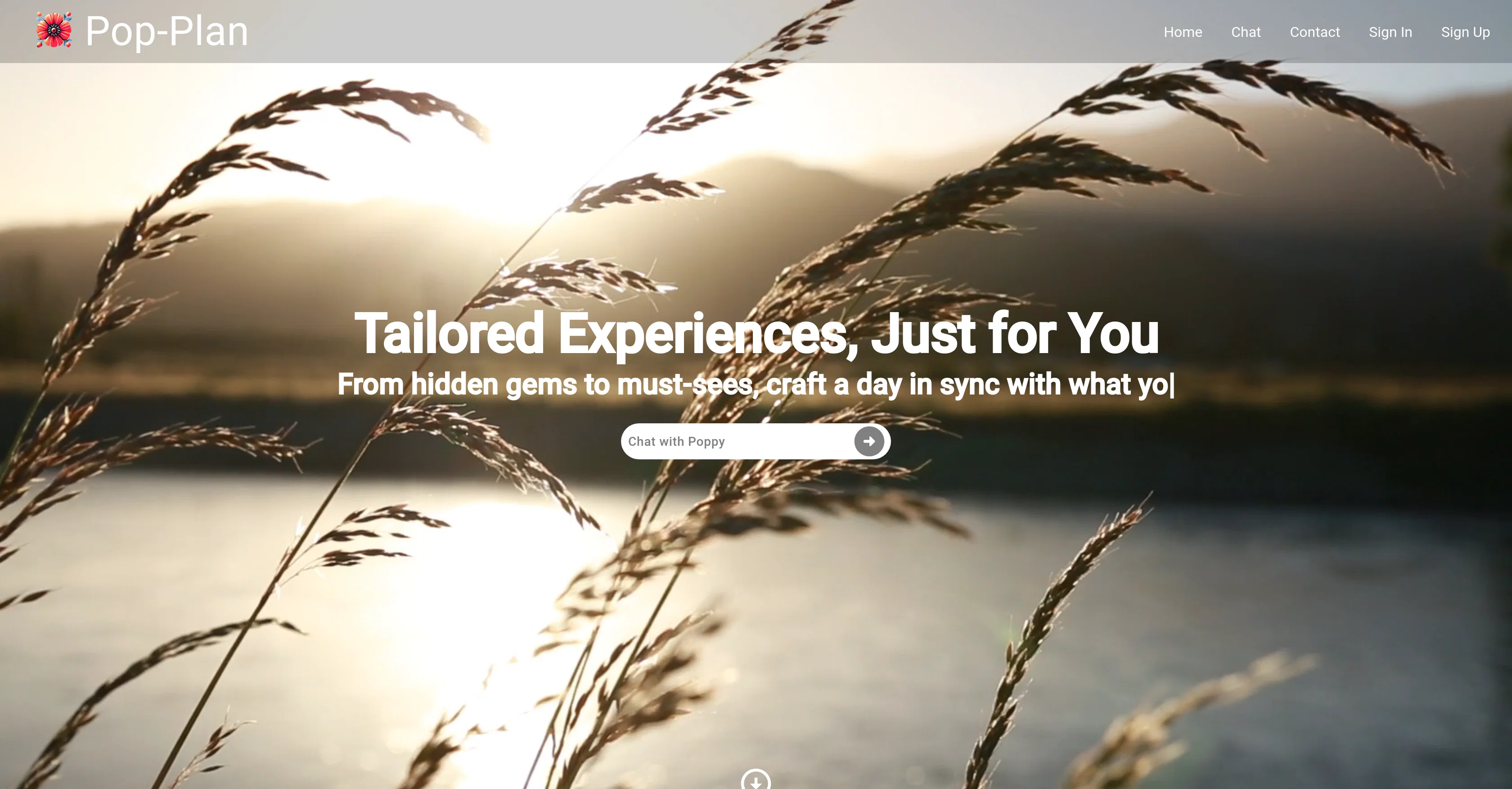 Pop-Plan website