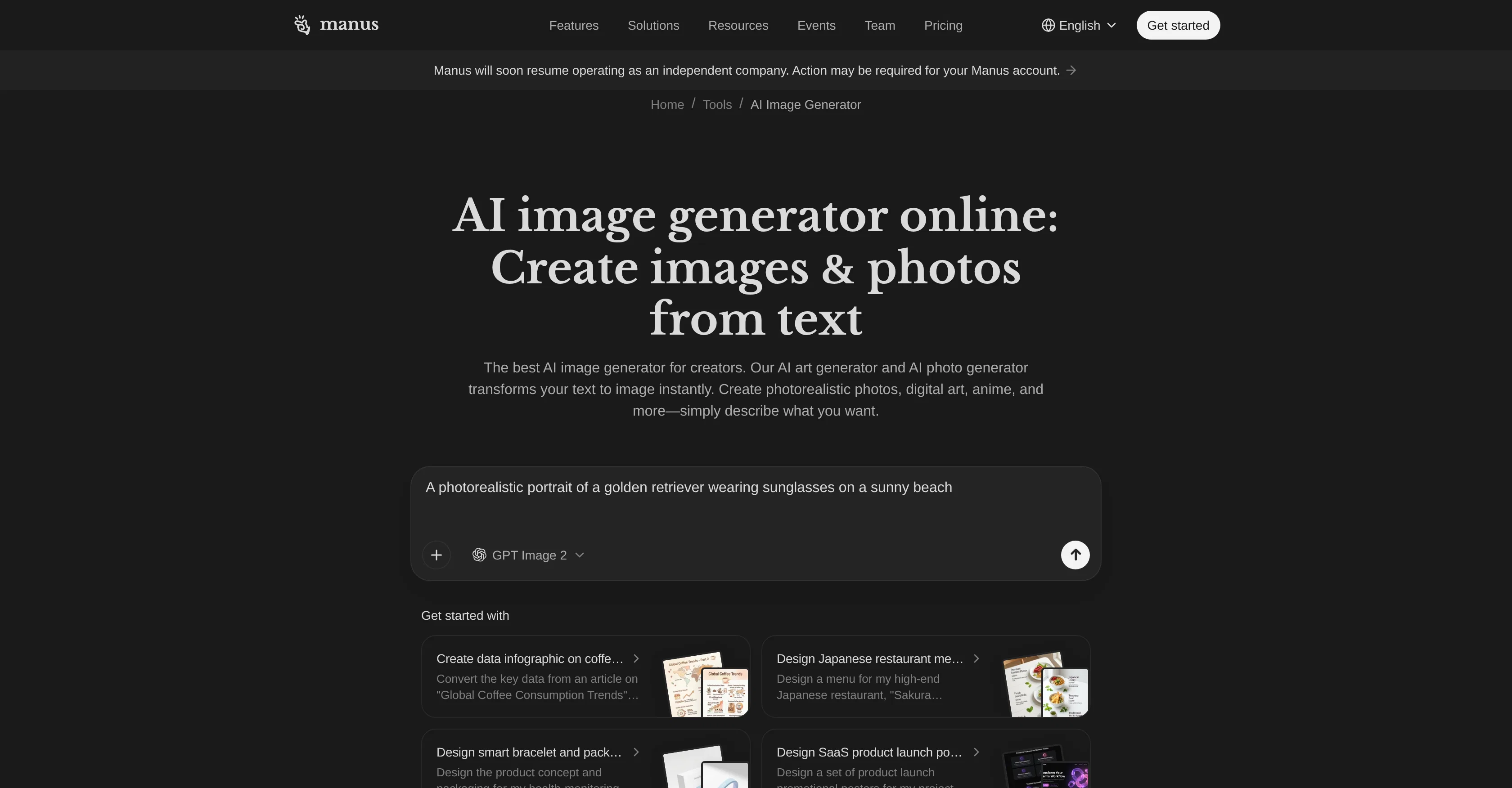 Image Generator by Manus website