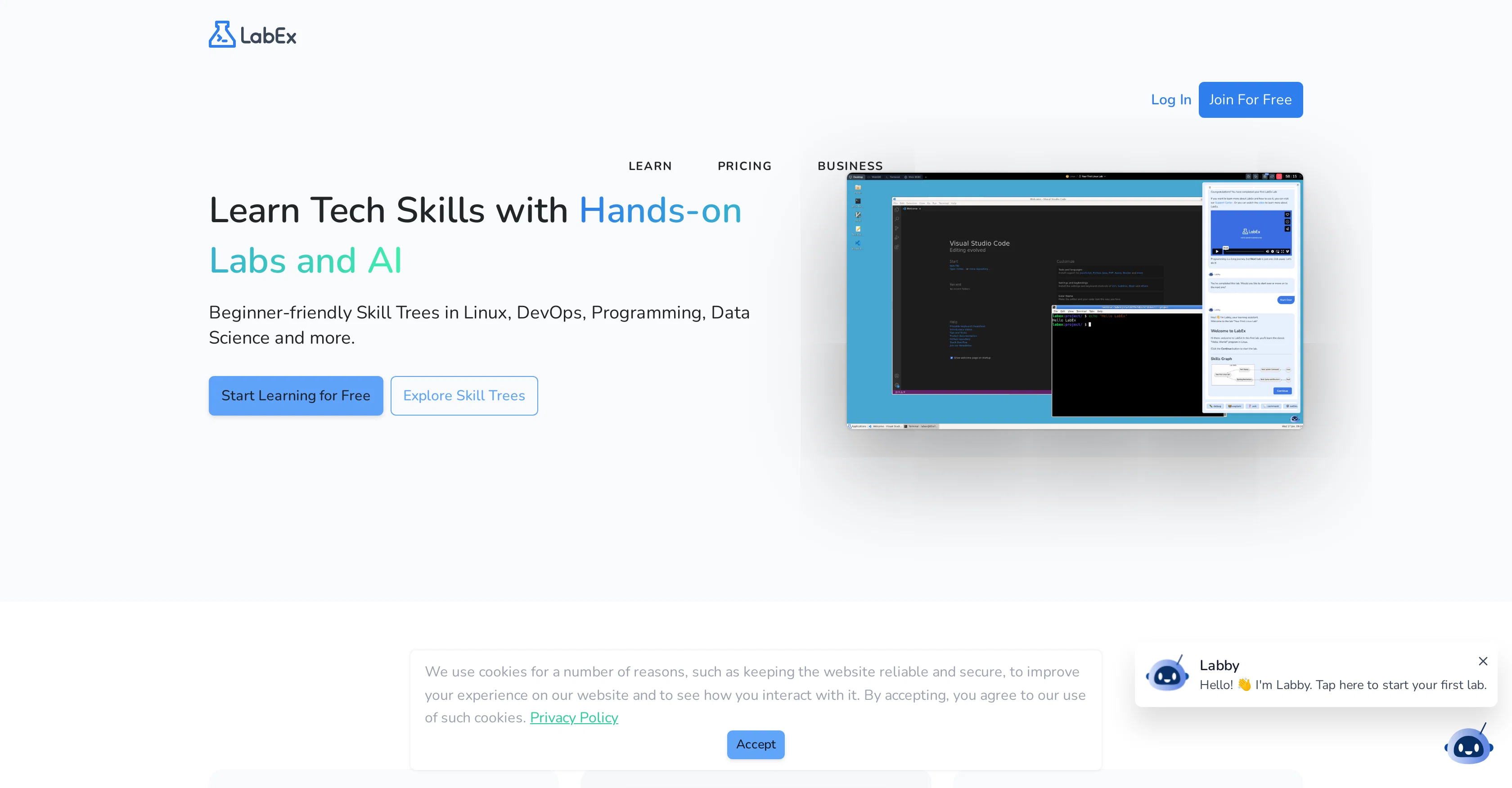 LabEx website